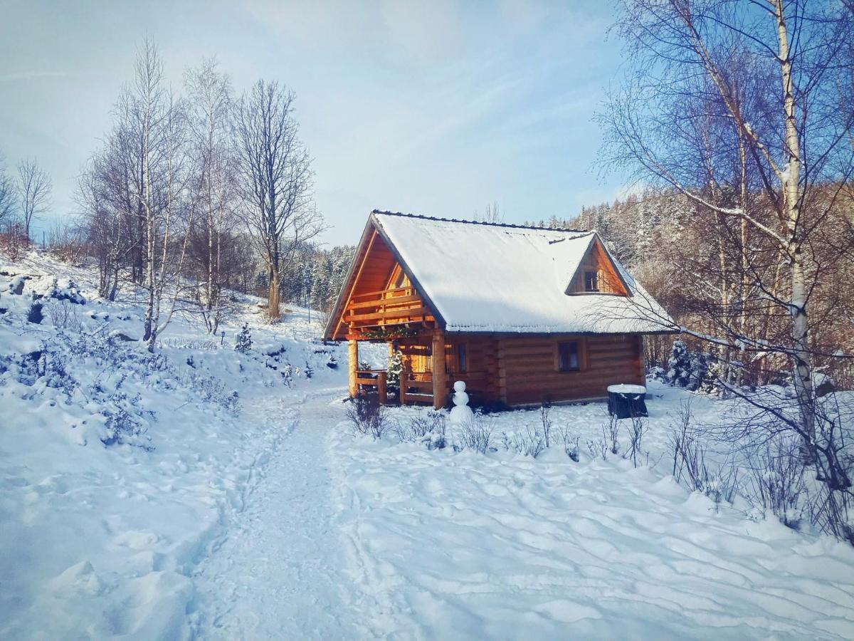 Lesniowka Domki W Karpaczu Bagian luar foto